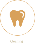 専門的な歯のケア
