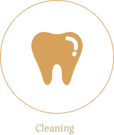 専門的な歯のケア